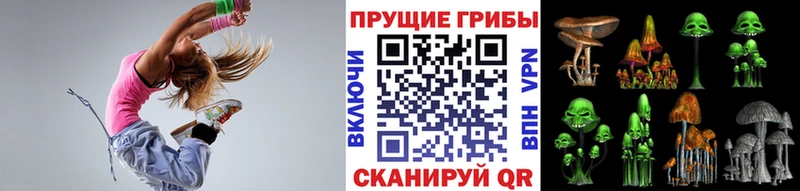 Галлюциногенные грибы мицелий  Купить где  Вологда 
