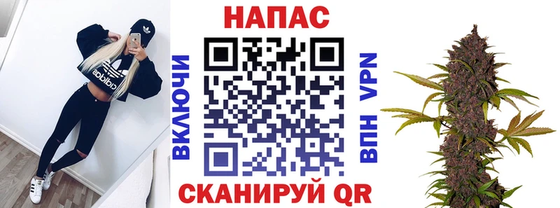 Купить закладки  Вологда  Канабис семена 